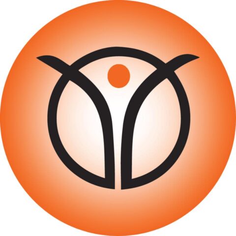 logo Solo Strength
