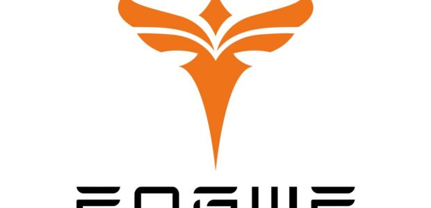 Engwe logo - code promo engwe